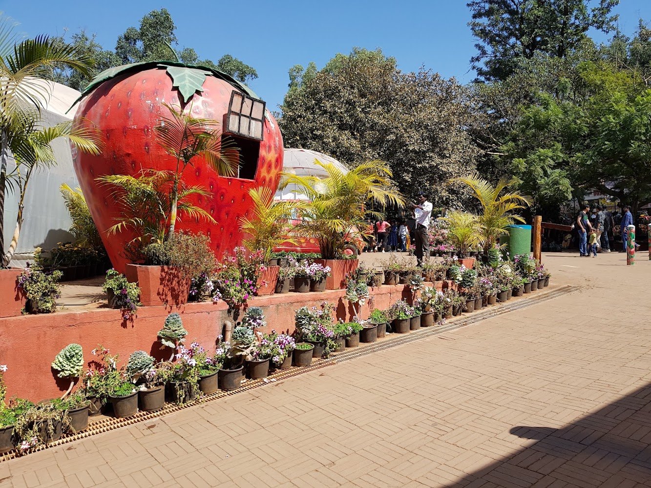 Arthur's Seat Mahabaleshwar